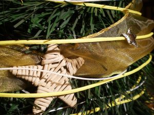 v�no�n� stromek, v�noce